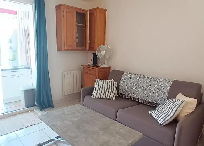 Les Estivales Proche Et Port 4 Pers Grande Terrasse Clim 2 Appartement Saint-Cyprien (Pyrenees-Orientales)