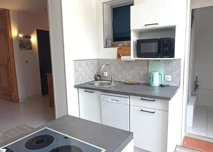 Les Estivales Proche Et Port 4 Pers Grande Terrasse Clim 2 * Saint-Cyprien (Pyrenees-Orientales)
