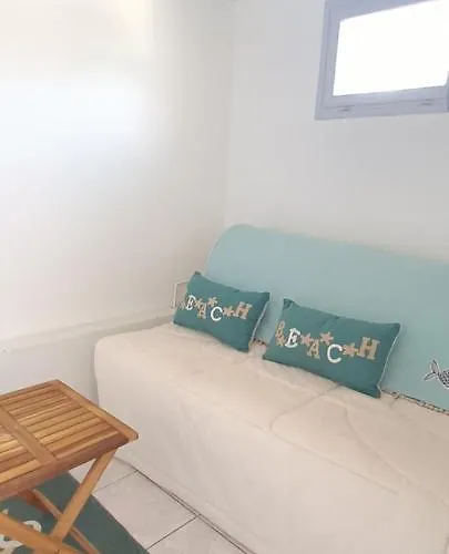 Les Estivales Proche Et Port 4 Pers Grande Terrasse Clim 2 Appartement