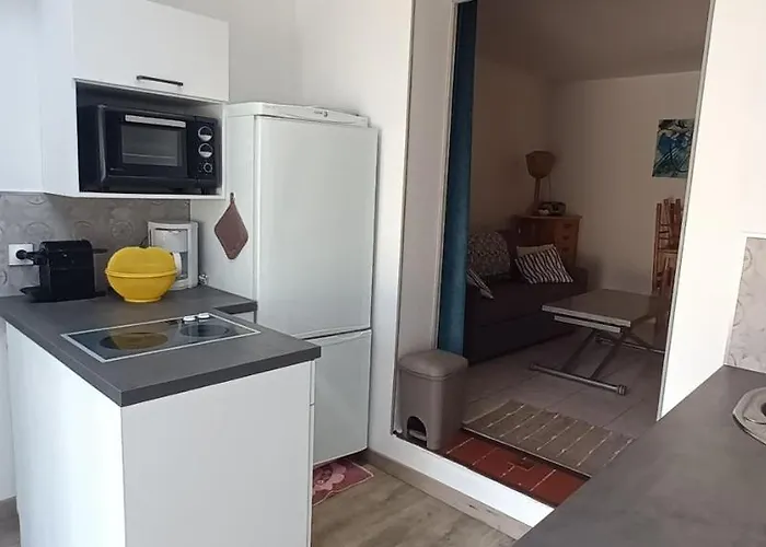 Les Estivales Proche Et Port 4 Pers Grande Terrasse Clim 2 Appartement *