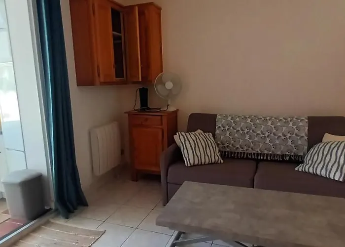 Les Estivales Proche Et Port 4 Pers Grande Terrasse Clim 2 Saint-Cyprien (Pyrenees-Orientales)